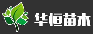 泰安市韦德1946苗木有限公司