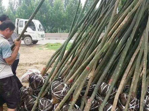 装车现场